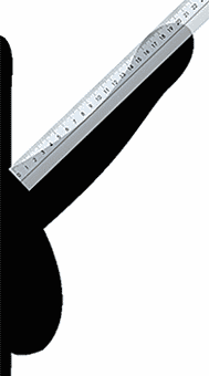Schema di un pene eretto, con riga appoggiata per la misurazione della lunghezza del pene
