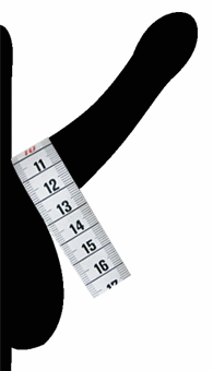 Schema di un pene eretto, con metro a nastro appoggiato per la misurazione della circonferenza del pene